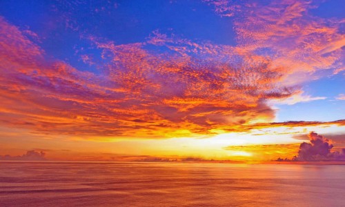 半夏糖浆价格多少一盒-半夏糖浆说明书图片,中国半夏糖浆的成分和功能主治网站