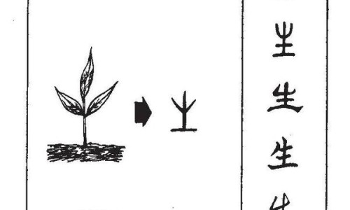 半夏糖浆的用法用量-半夏糖浆价格多少一盒-半夏糖浆说明书图片,中国半夏糖浆的成分和功能主治网站